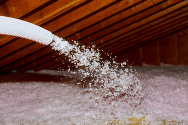 Trusted River Forest, IL Insulation Contractor Experts