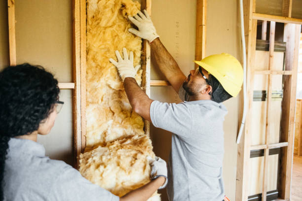 Best Insulation Contractors for Homes  in River Forest, IL