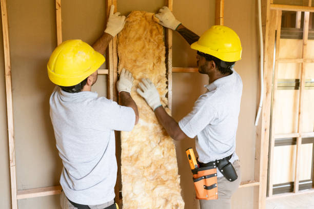 Best Spray Foam Insulation  in River Forest, IL
