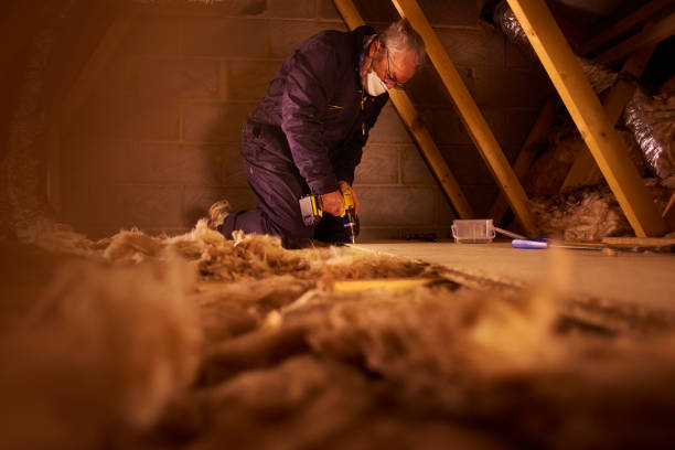 Insulation Inspection Services in River Forest, IL