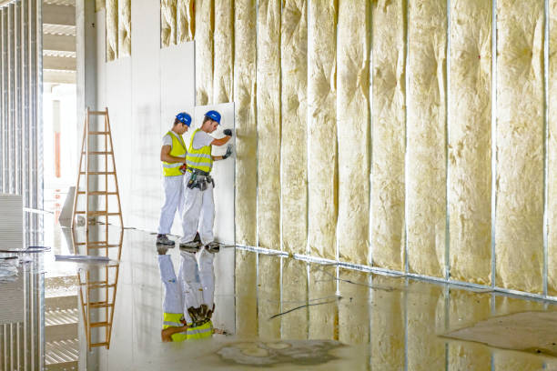 Insulation for New Construction in River Forest, IL